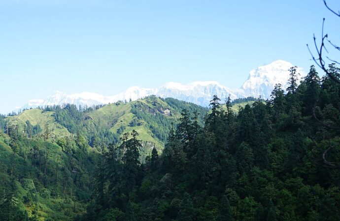 जलजलाबाट देखिएको धौलागिरि हिमाल