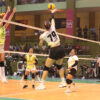 Blog 3 Columns